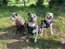 Load image into Gallery viewer, Tweed Padded Harness