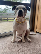 Load image into Gallery viewer, Classic Edition Gold