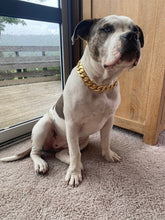 Load image into Gallery viewer, Classic Edition Gold