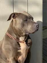 Load image into Gallery viewer, Choke Chain - Mischief Chain