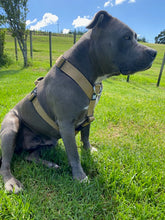 Load image into Gallery viewer, Tri Harness