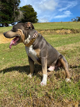 Load image into Gallery viewer, Classic Edition Rose Gold