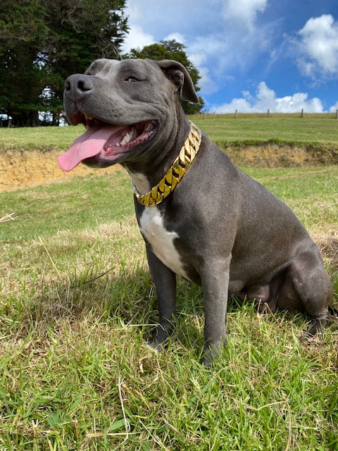 Black 25mm/32mm Cuban Link Dog Chain Collar