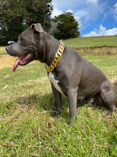 Load image into Gallery viewer, Classic Edition Gold