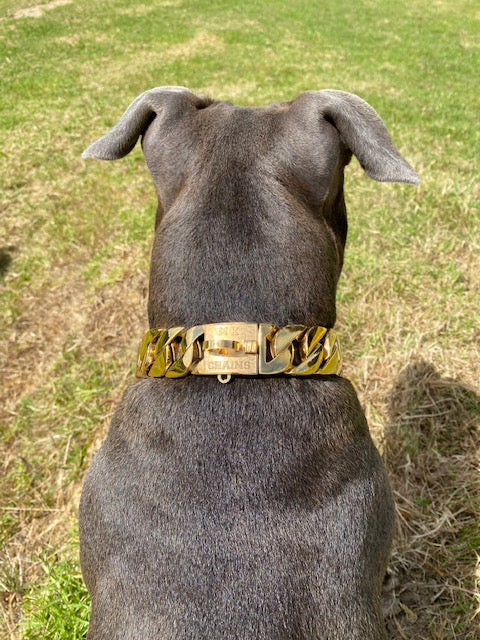 Mk best sale dog collar