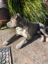 Load image into Gallery viewer, Choke Chain - Mischief Chain