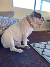 Load image into Gallery viewer, Classic Edition Gold