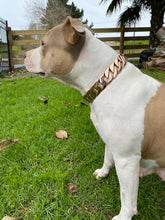 Load image into Gallery viewer, Classic Edition Rose Gold