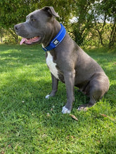 Load image into Gallery viewer, Slip Collar