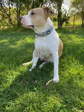 Load image into Gallery viewer, Slip Collar