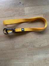 Load image into Gallery viewer, Carabiner Lead