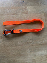 Load image into Gallery viewer, Carabiner Lead