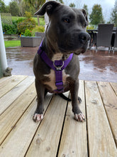 Load image into Gallery viewer, Tri Harness