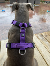 Load image into Gallery viewer, Tri Harness