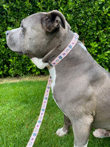 Small Breed Harness