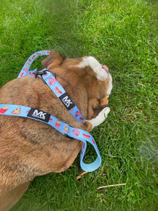 Small Breed Harness