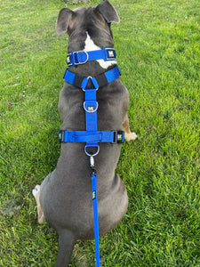 MK Tri Harness